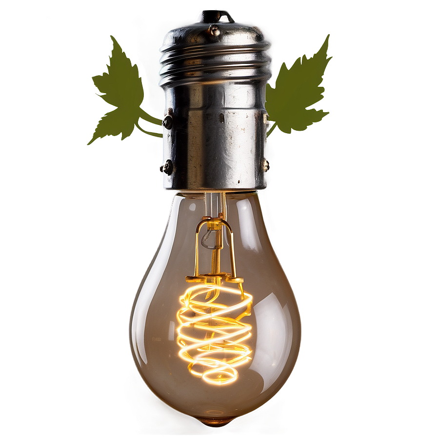 Rustic Light Bulb Png Xlb PNG