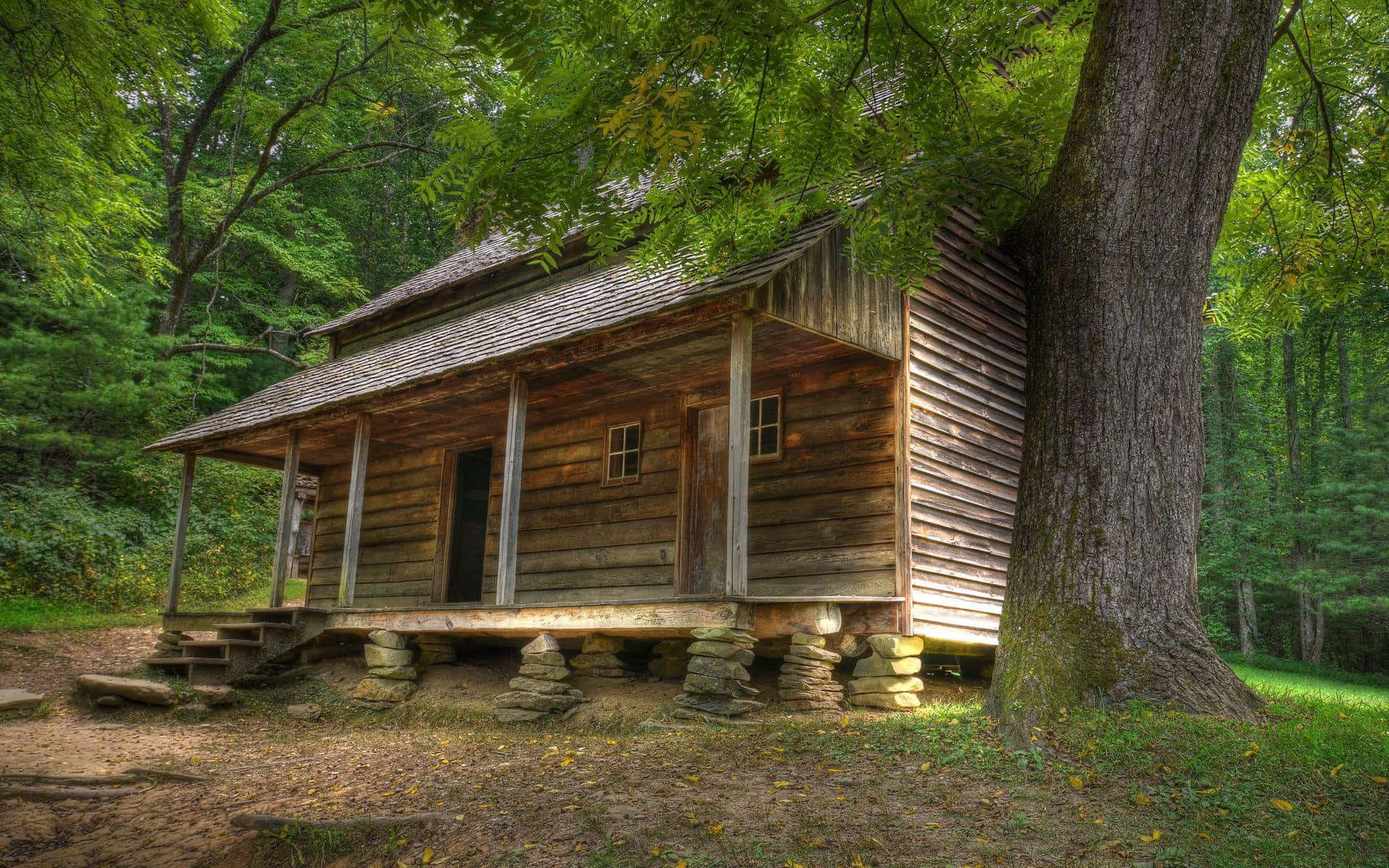 Rustieke Houten Cabin In Het Bos Achtergrond