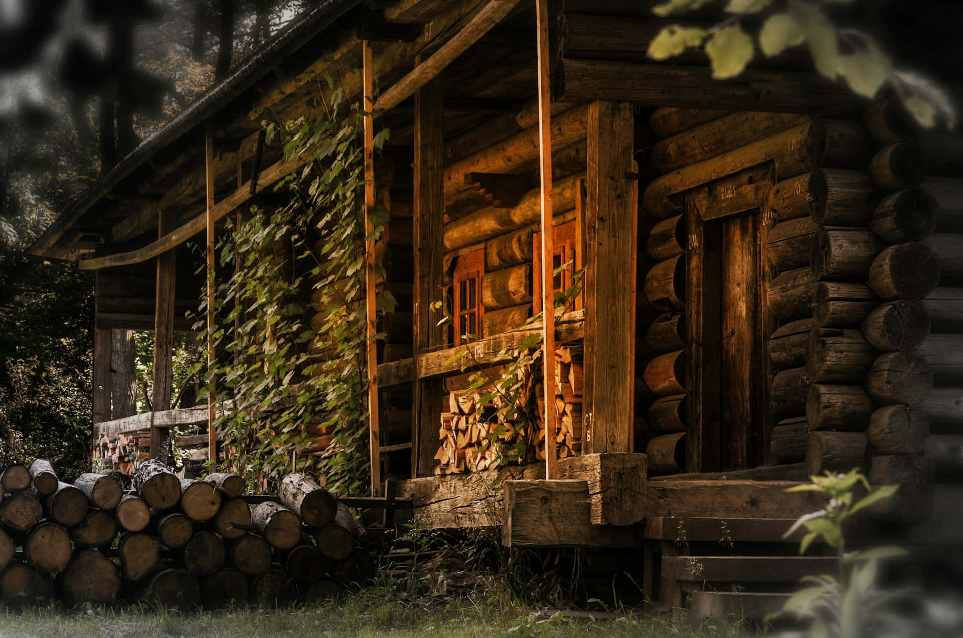 Rustieke Houten Cabin In Het Bos Achtergrond