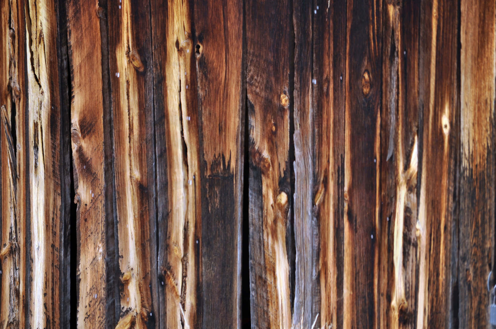 Rustic Old Wood [wallpaper] Wallpaper