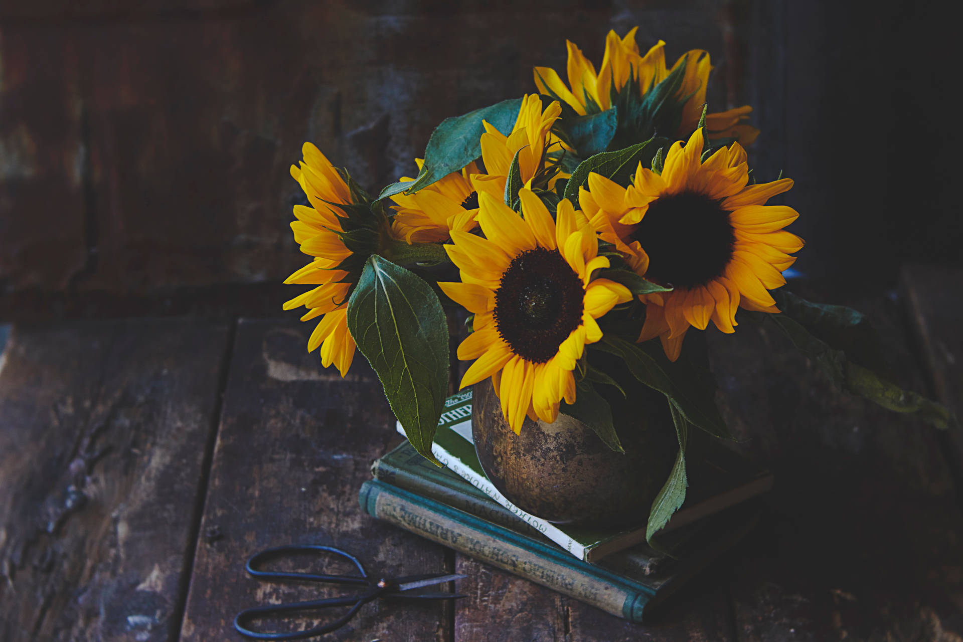 Rustic Sunflower Flowers Aesthetic Background