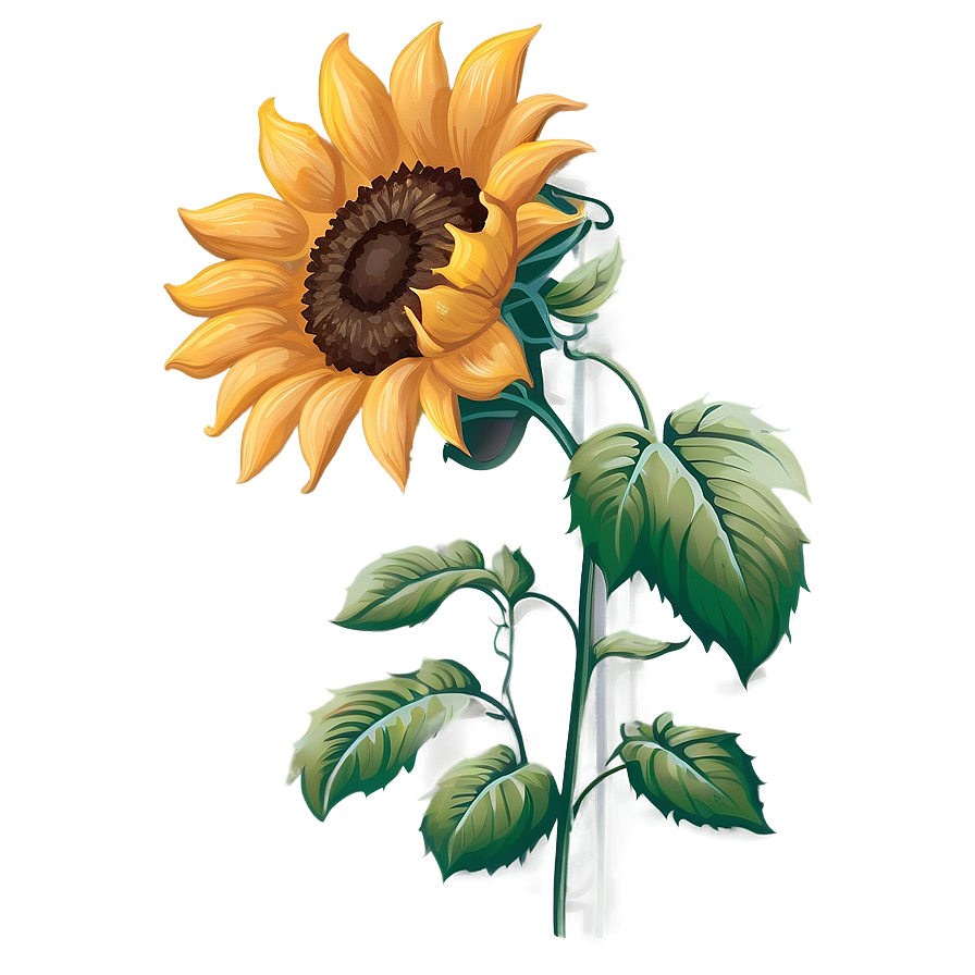 Rustic Sunflower Transparent Png 05262024 PNG