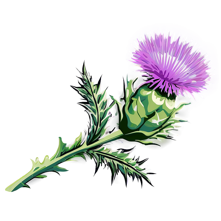 Rustic Thistle Flower Vector Png 90 PNG