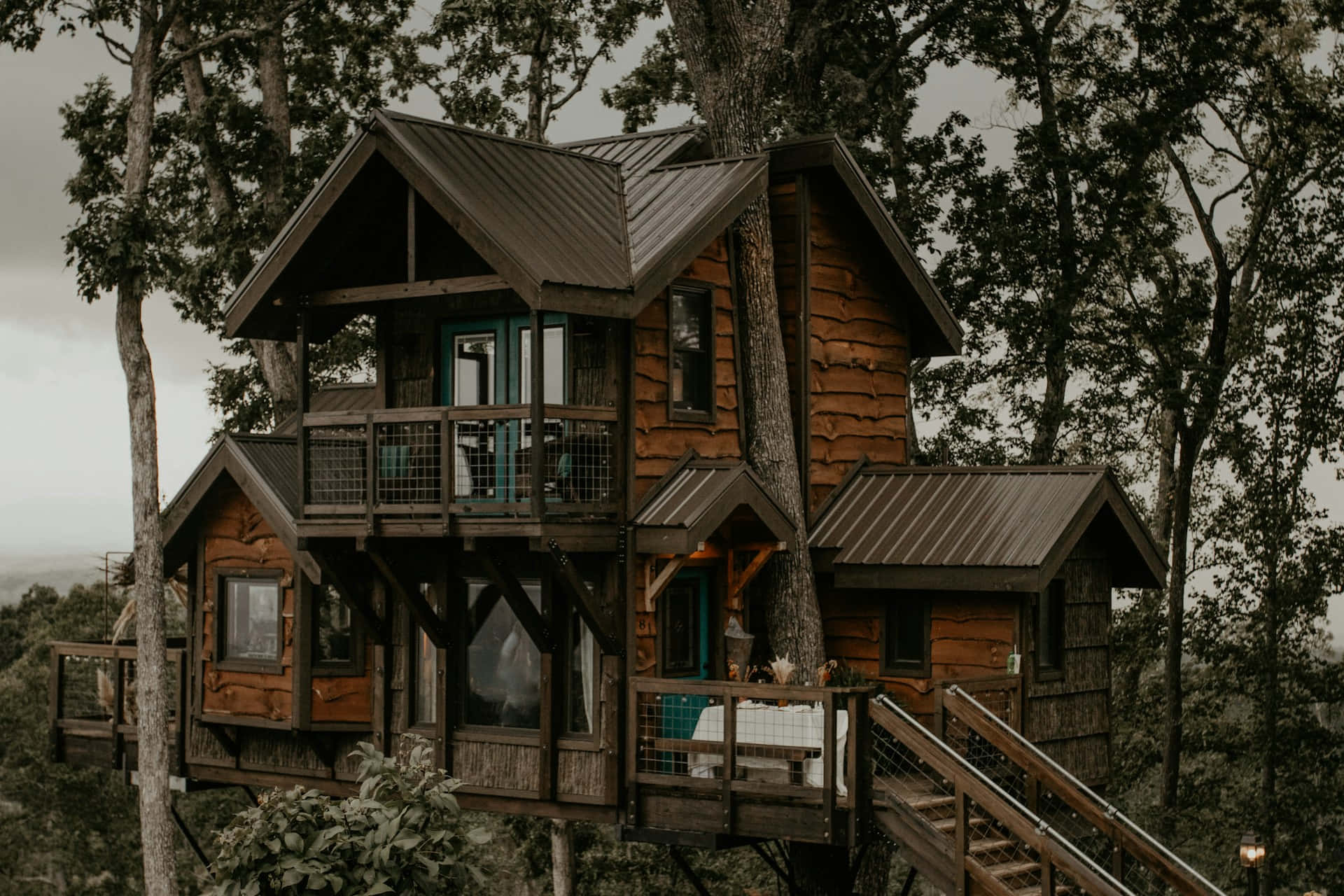 Rustic Treehouse Log Cabin Wallpaper