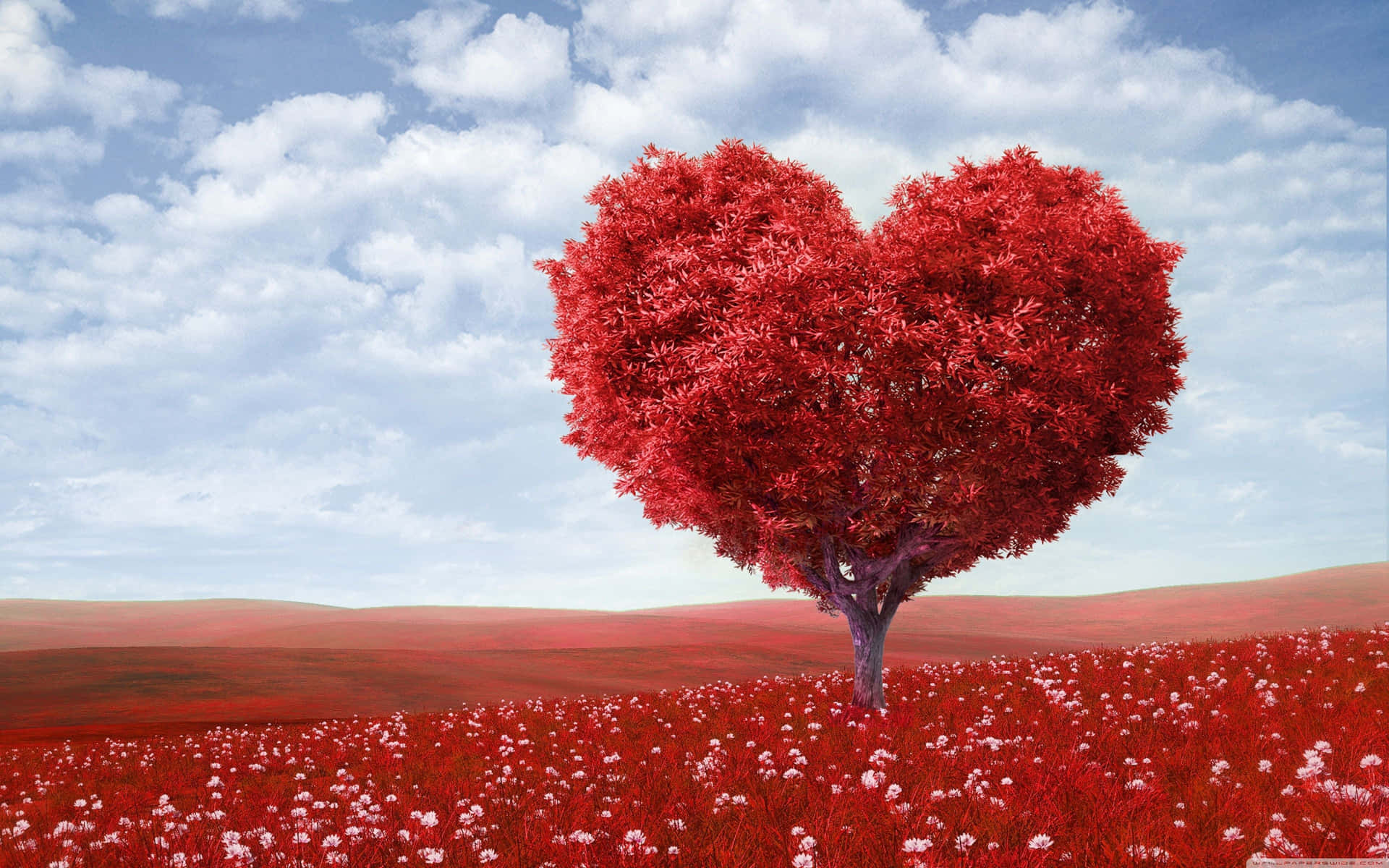 Rustic Valentine Day Tree Heart Wallpaper