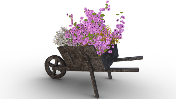 Rustic Wheelbarrowwith Flowers PNG