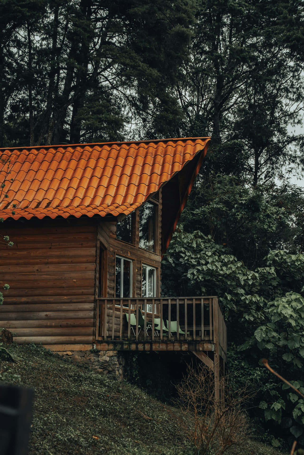 Cabane En Bois Rustique Dans La Forêt Fond d'écran