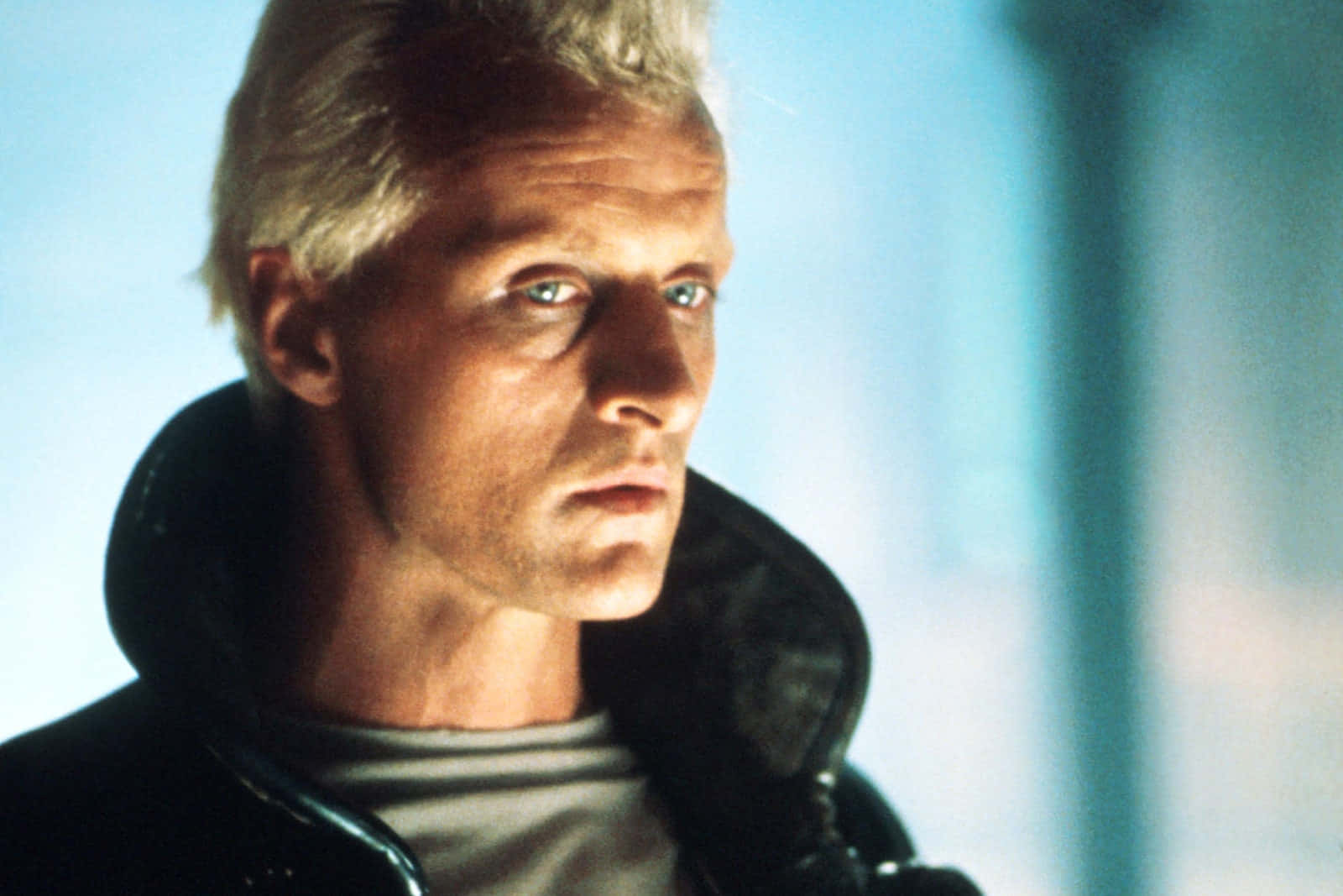 Rutgerhauer Var Den Skådespelaren Som Spelade Roy Batty I Filmen Blade Runner. Det Skulle Vara En Fantastisk Idé Att Ha Honom Som Bakgrundsbild För Din Dator Eller Mobiltelefon. Wallpaper