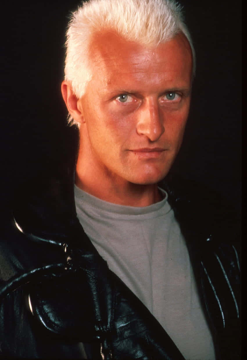 Rutger Hauer Young Photo White Hair Wallpaper