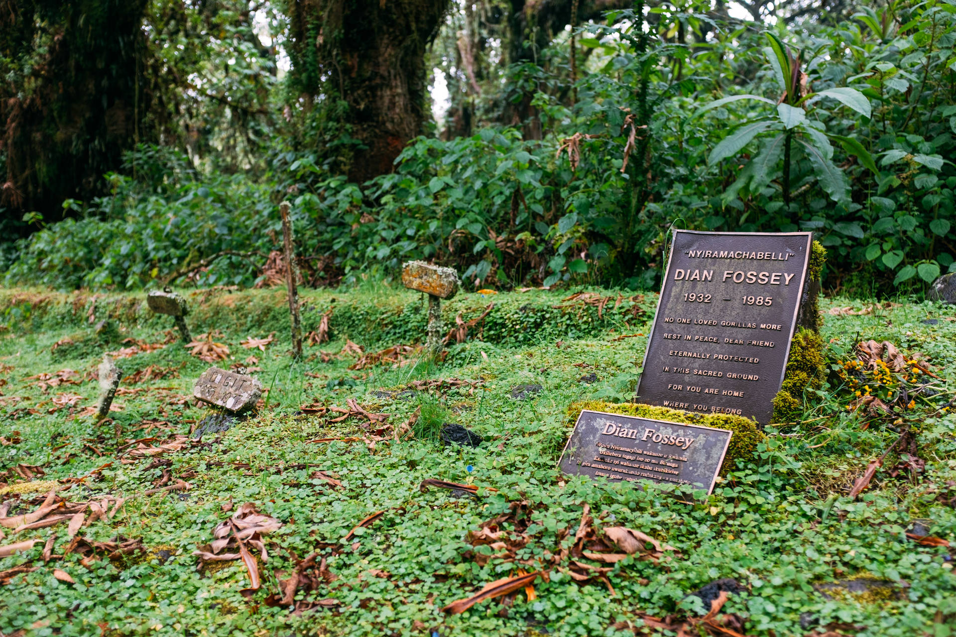 Ruanda Dian Fossey Grave Sfondo