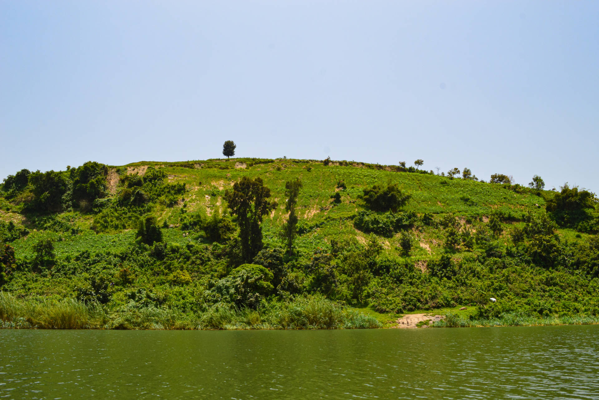 Rwanda Green Hill Wallpaper