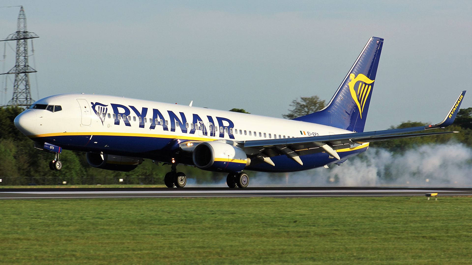 Aviónde Ryanair Sobre El Césped. Fondo de pantalla