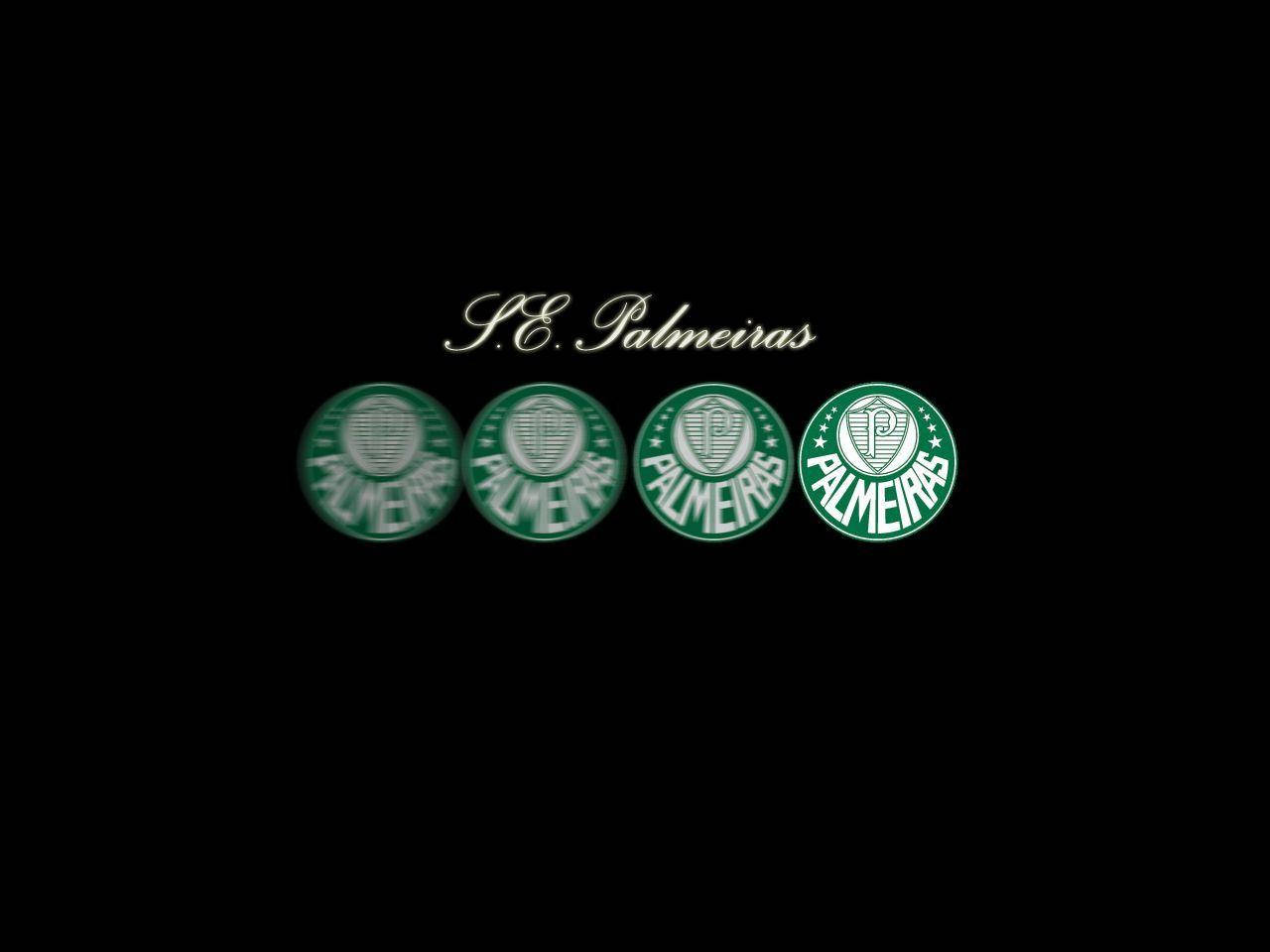 S.E. Palmeiras Kursive Damask Wallpaper