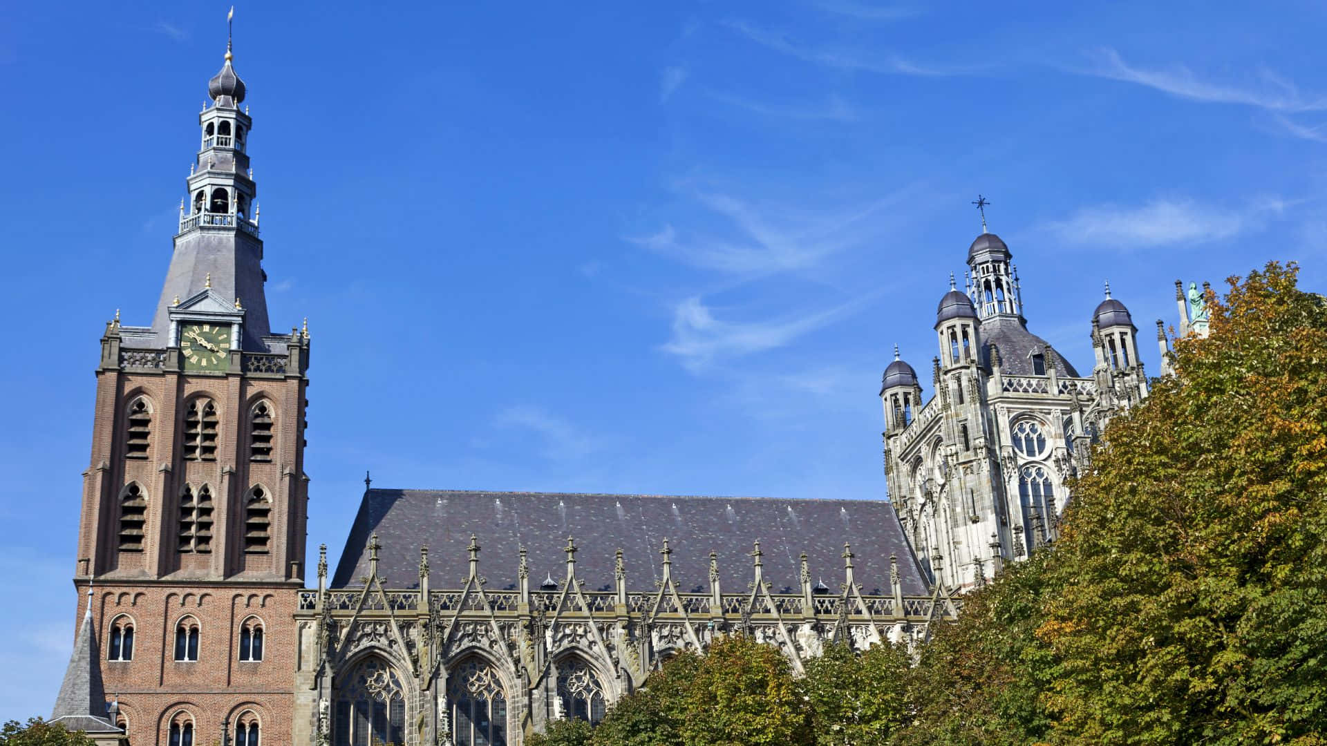 Download S Hertogenbosch Cathedral Architecture Wallpaper | Wallpapers.com