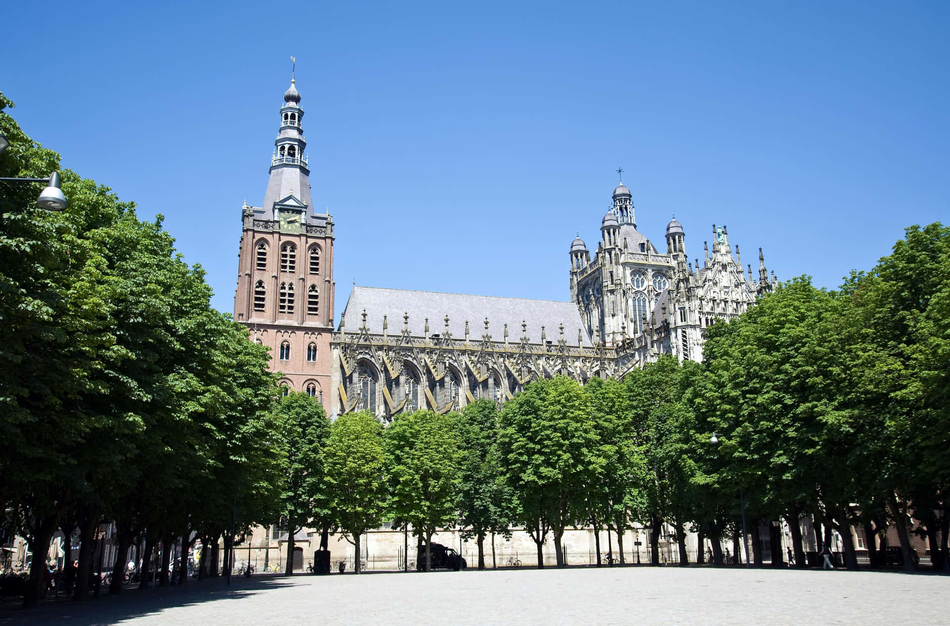 Kathedraal Van 's-hertogenbosch Op Een Zonnige Dag Achtergrond