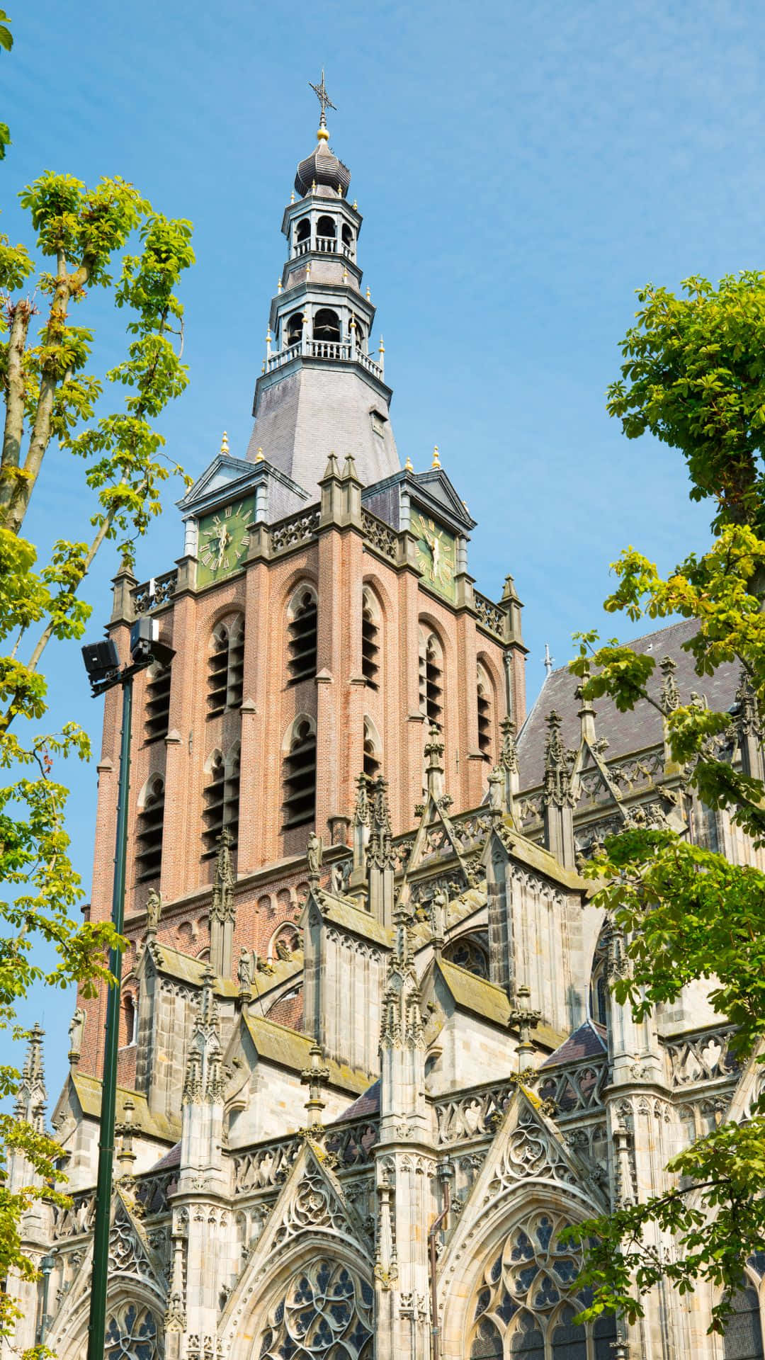 S Hertogenbosch Kathedraal Toren Achtergrond