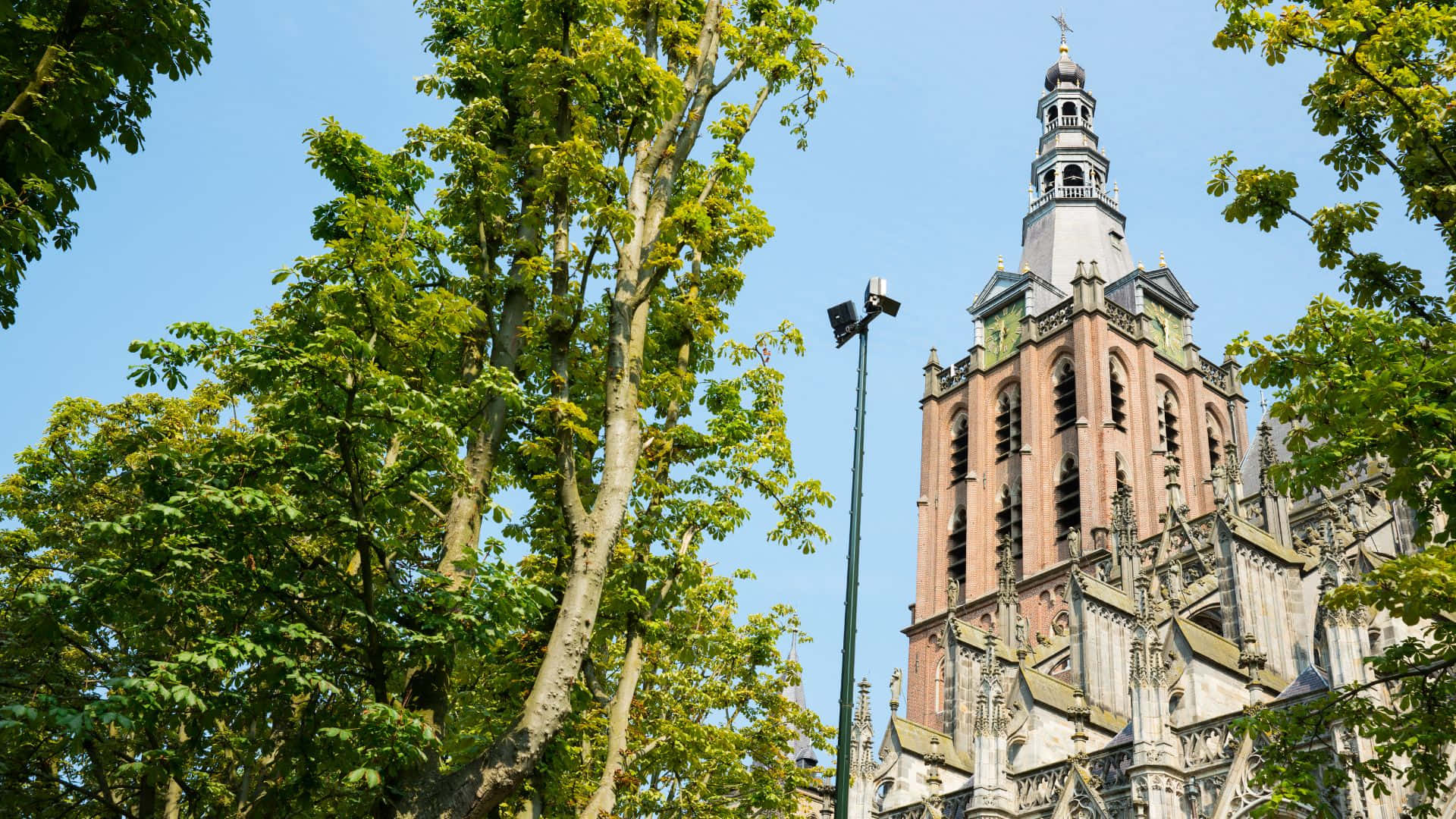 S Hertogenbosch Cathedral Tower Wallpaper