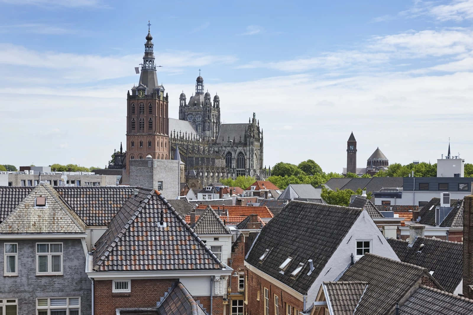 S-hertogenbosch Skyline Og St. Johannes Katedral Bakgrunnsbildet