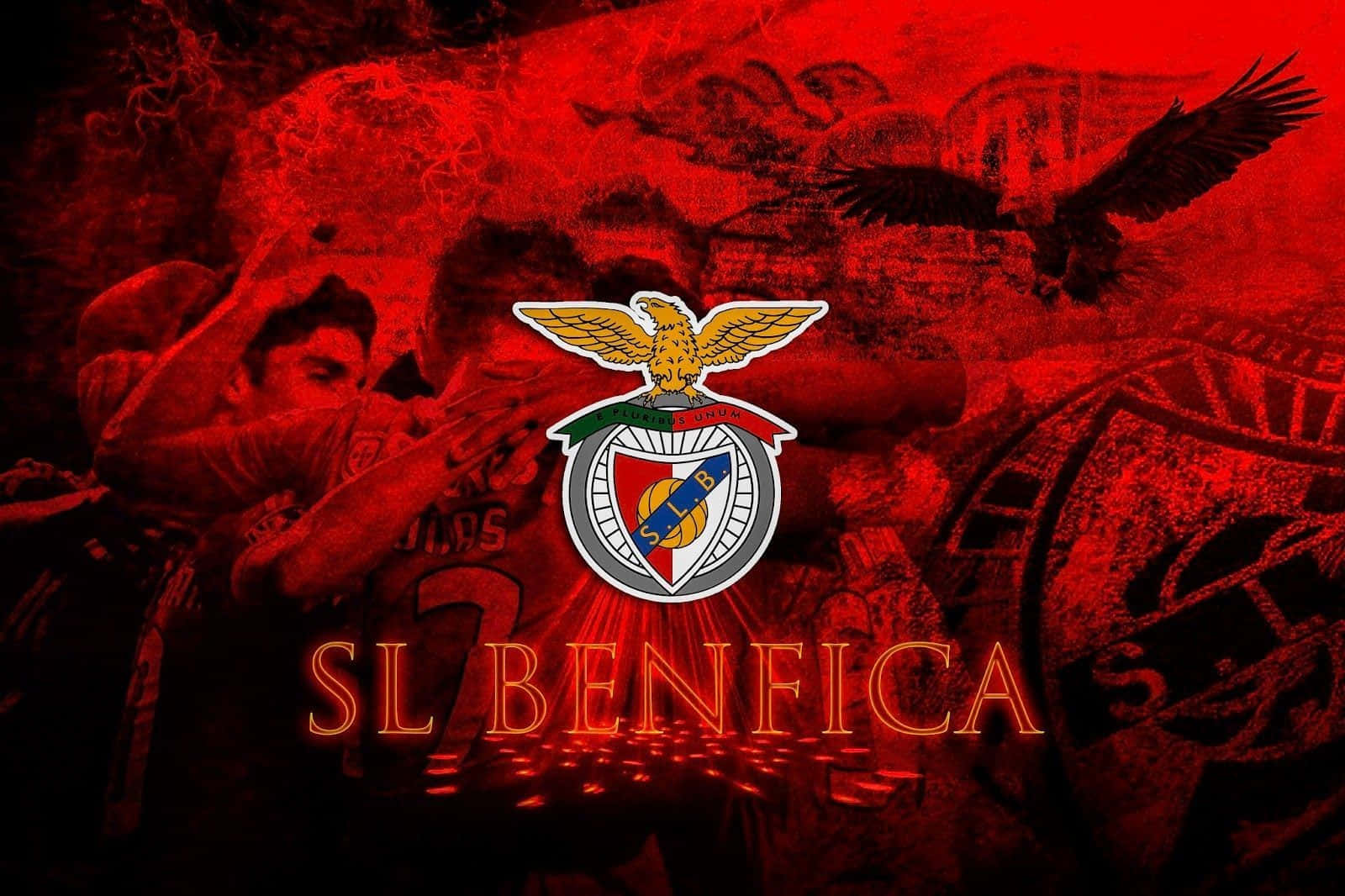 S L Benfica Football Passion Red Background Wallpaper
