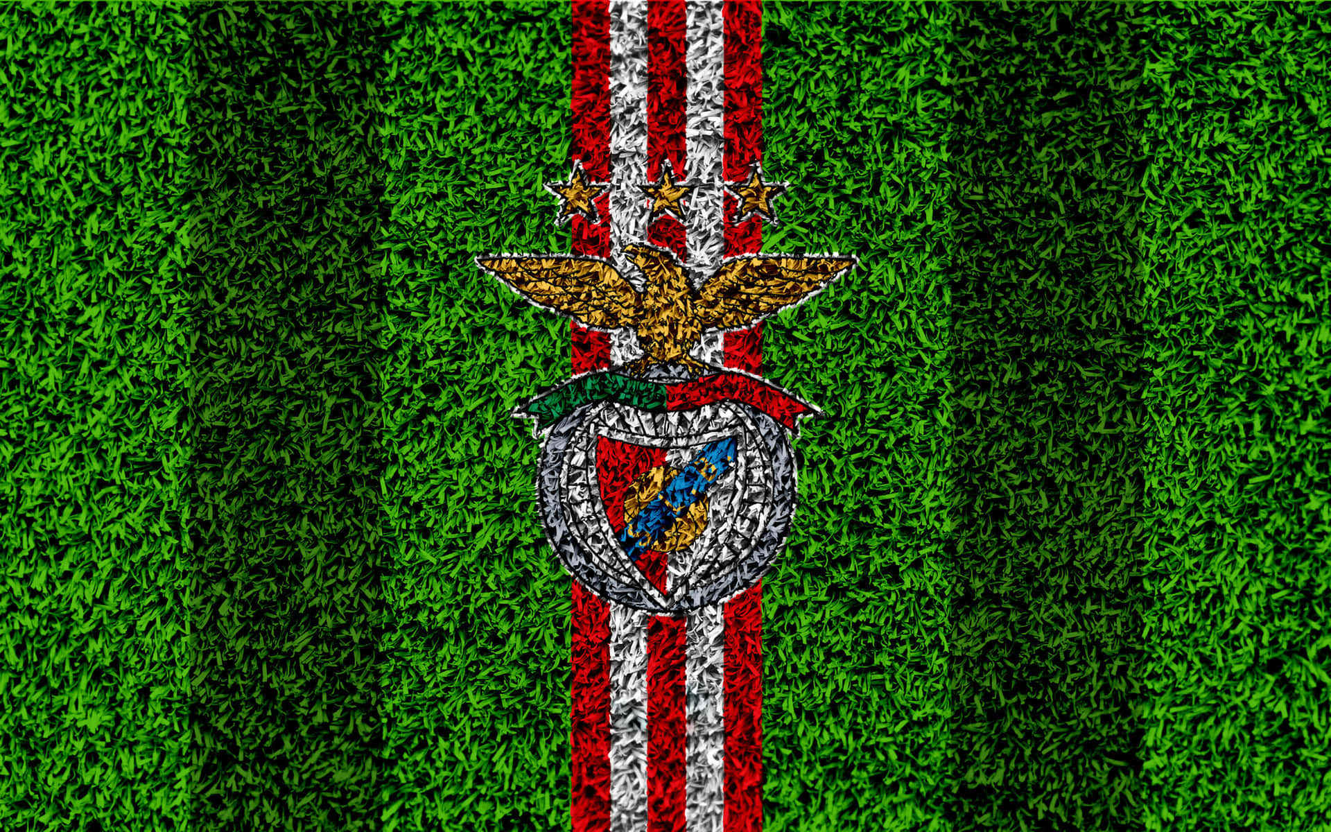 S L Benfica Logoon Grass Texture Wallpaper