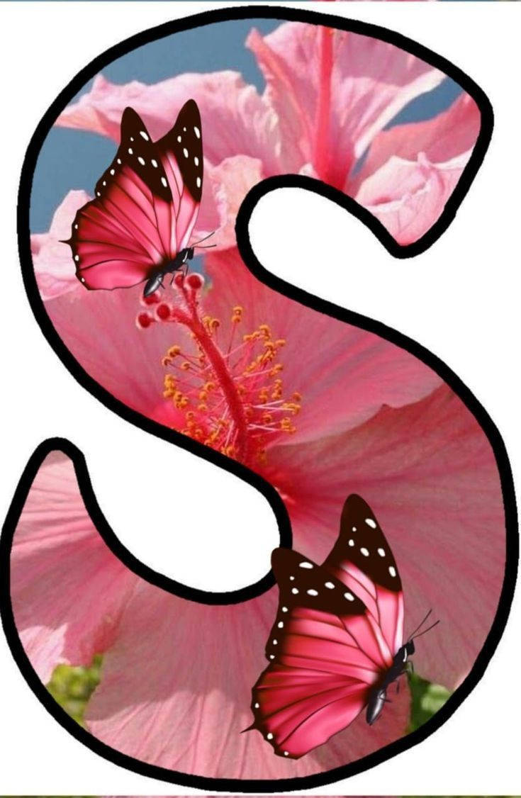 Sbuchstabe Rosa Schmetterlinge Wallpaper