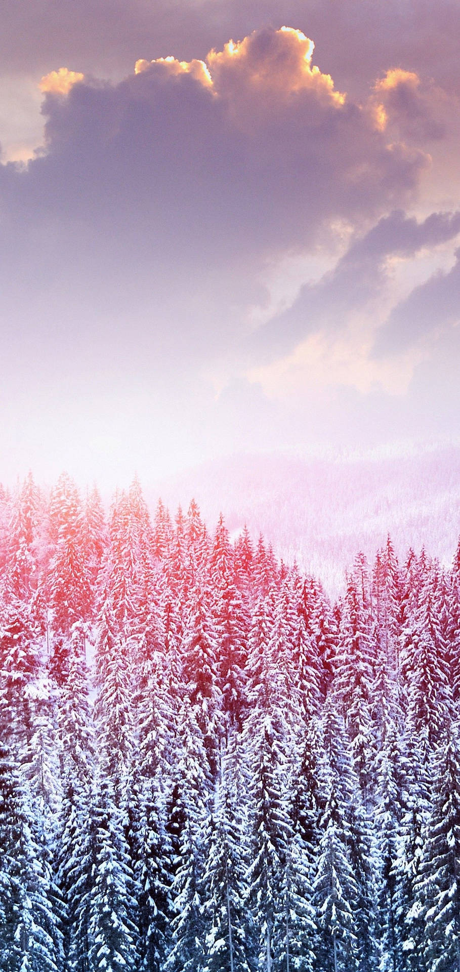 S10inverno Neve Árvores Papel de Parede
