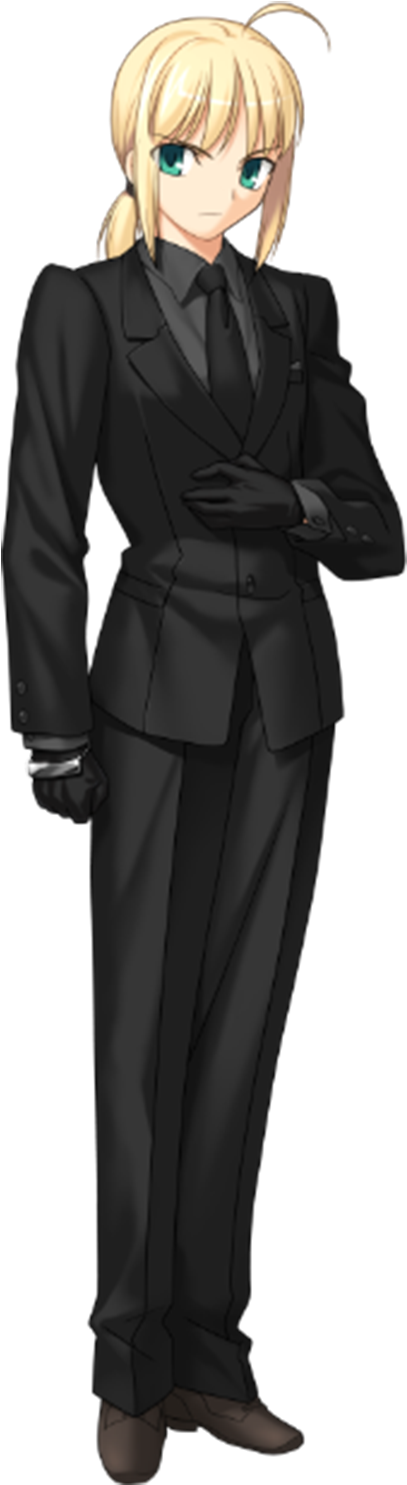 Saberin Suit Fate Series PNG