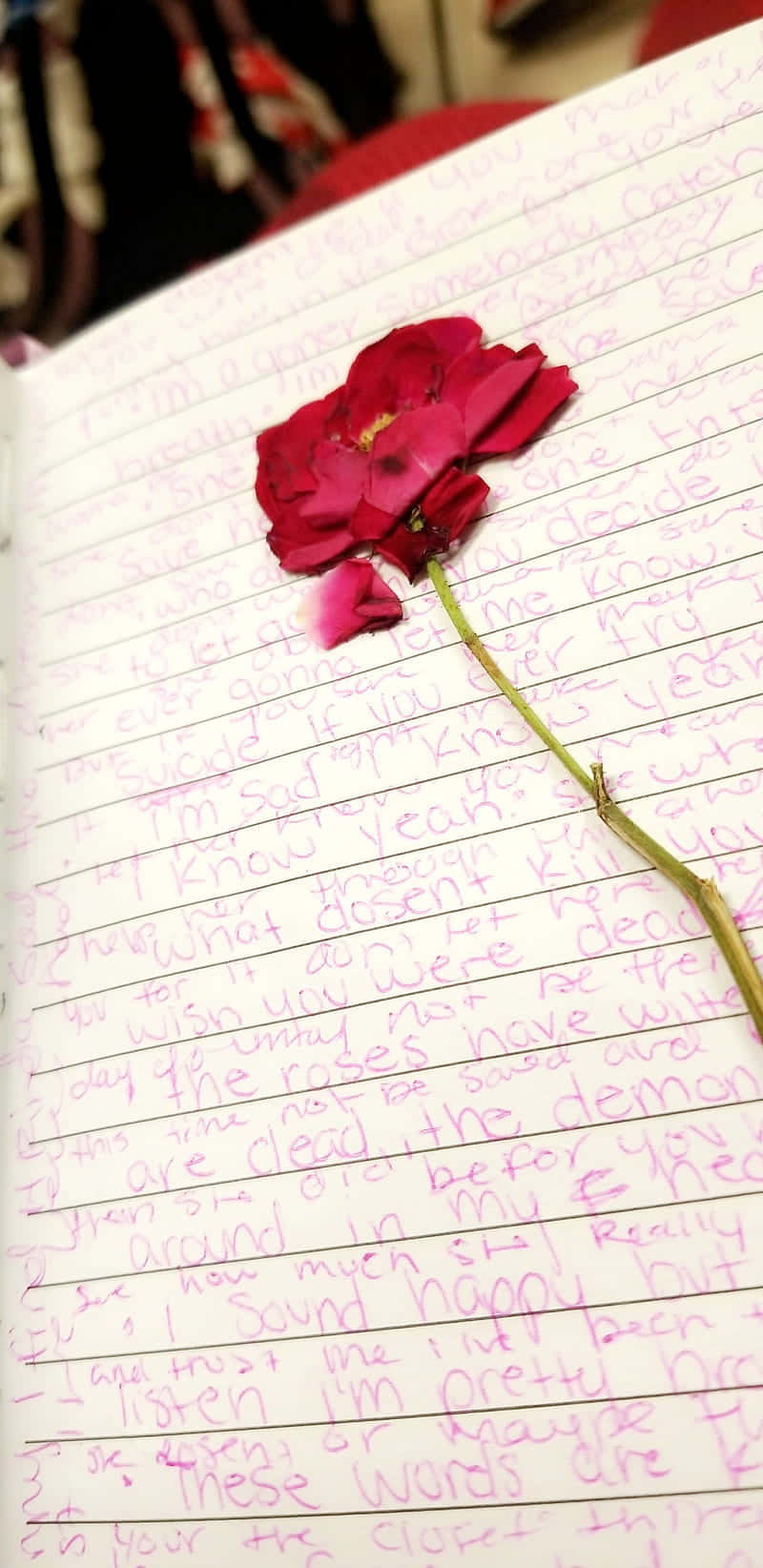 En rose sidder på et stykke papir. Wallpaper