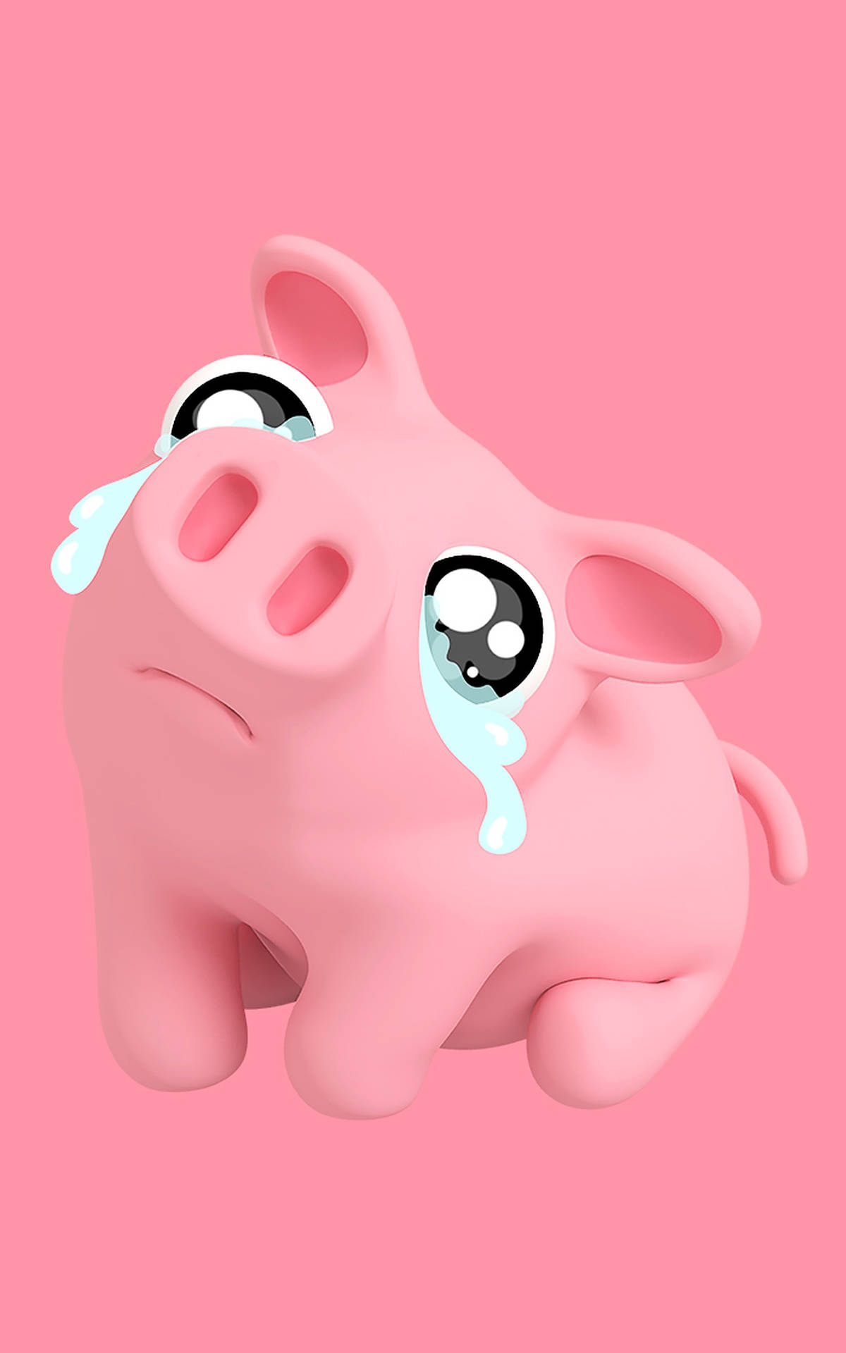 Sad Cute Pig Wallpaper