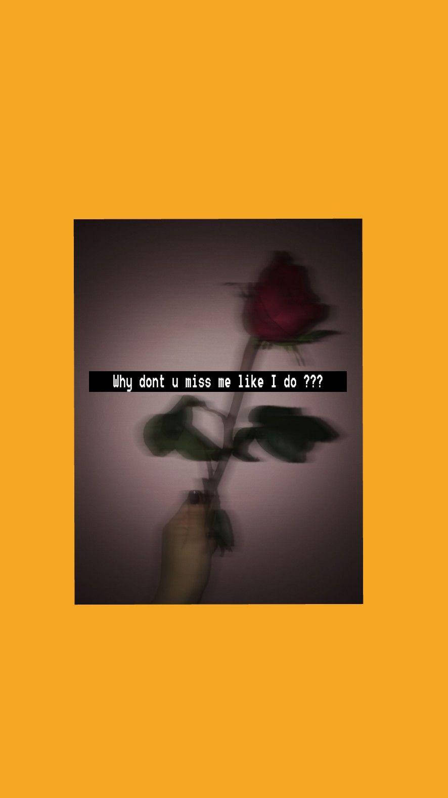 Sad Girl Aesthetic Rose With Text Wallpaper