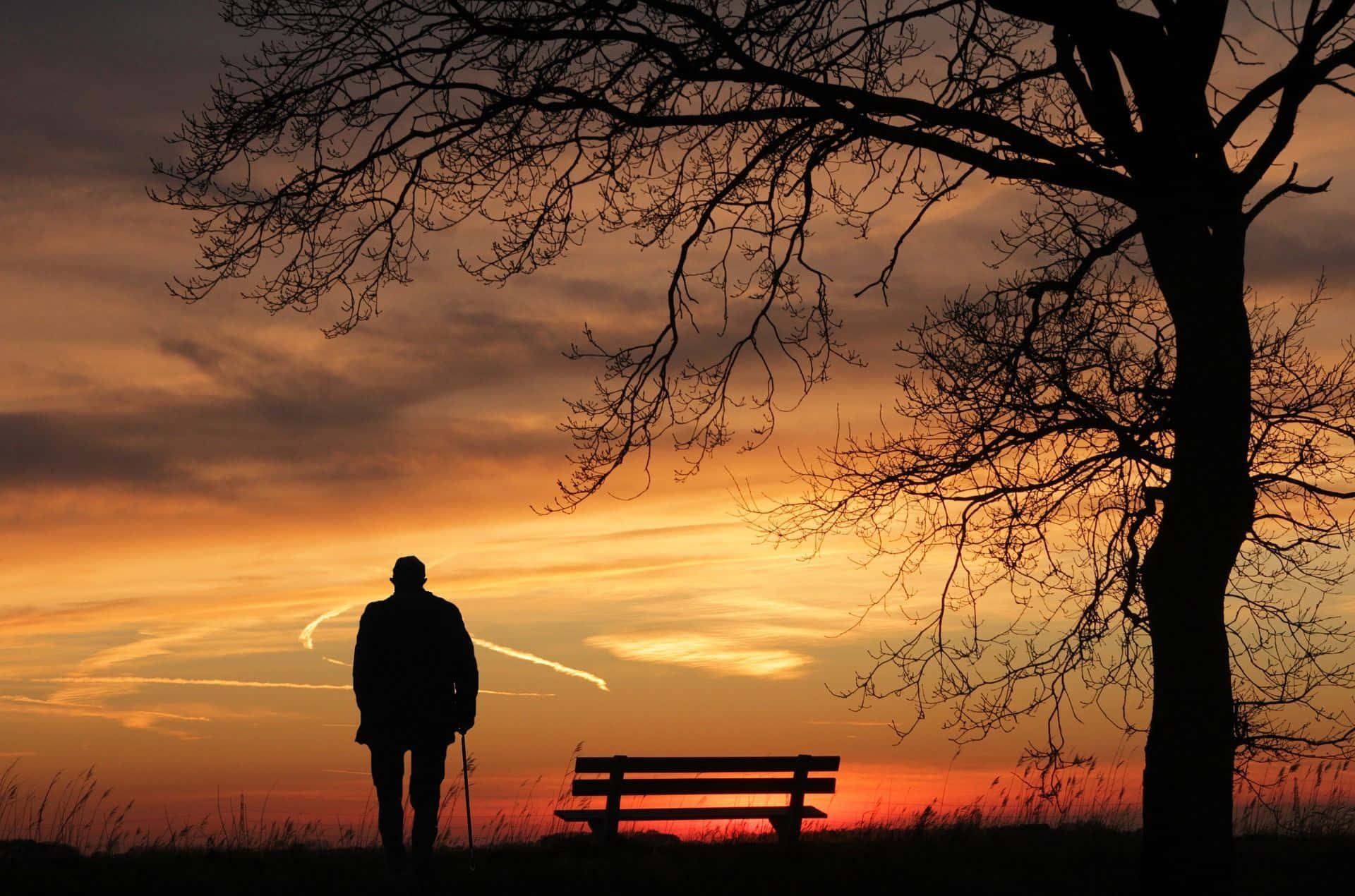 person sitting on bench silhouette
