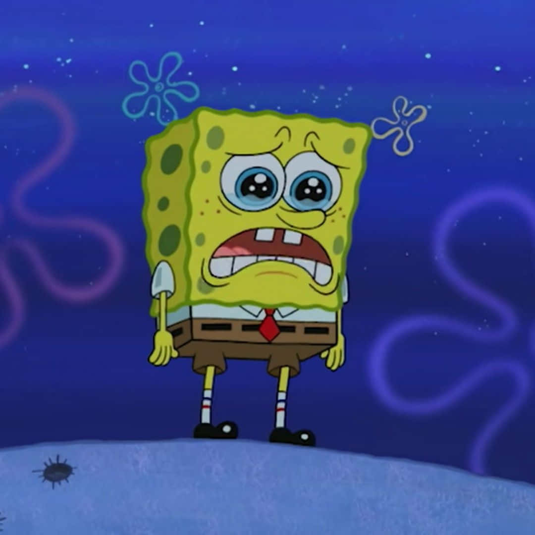 Download Sad Spongebob Crying Wallpaper