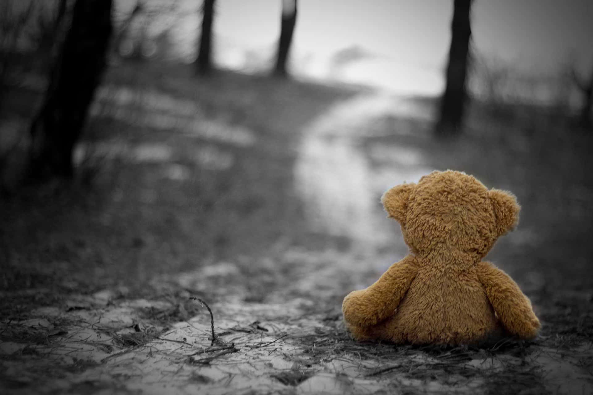 Sadness Teddy Bear In Mud Picture