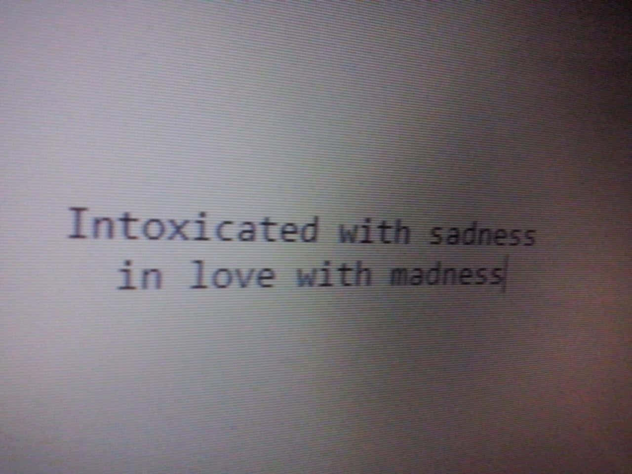 Sadness Quote Computer Text Picture