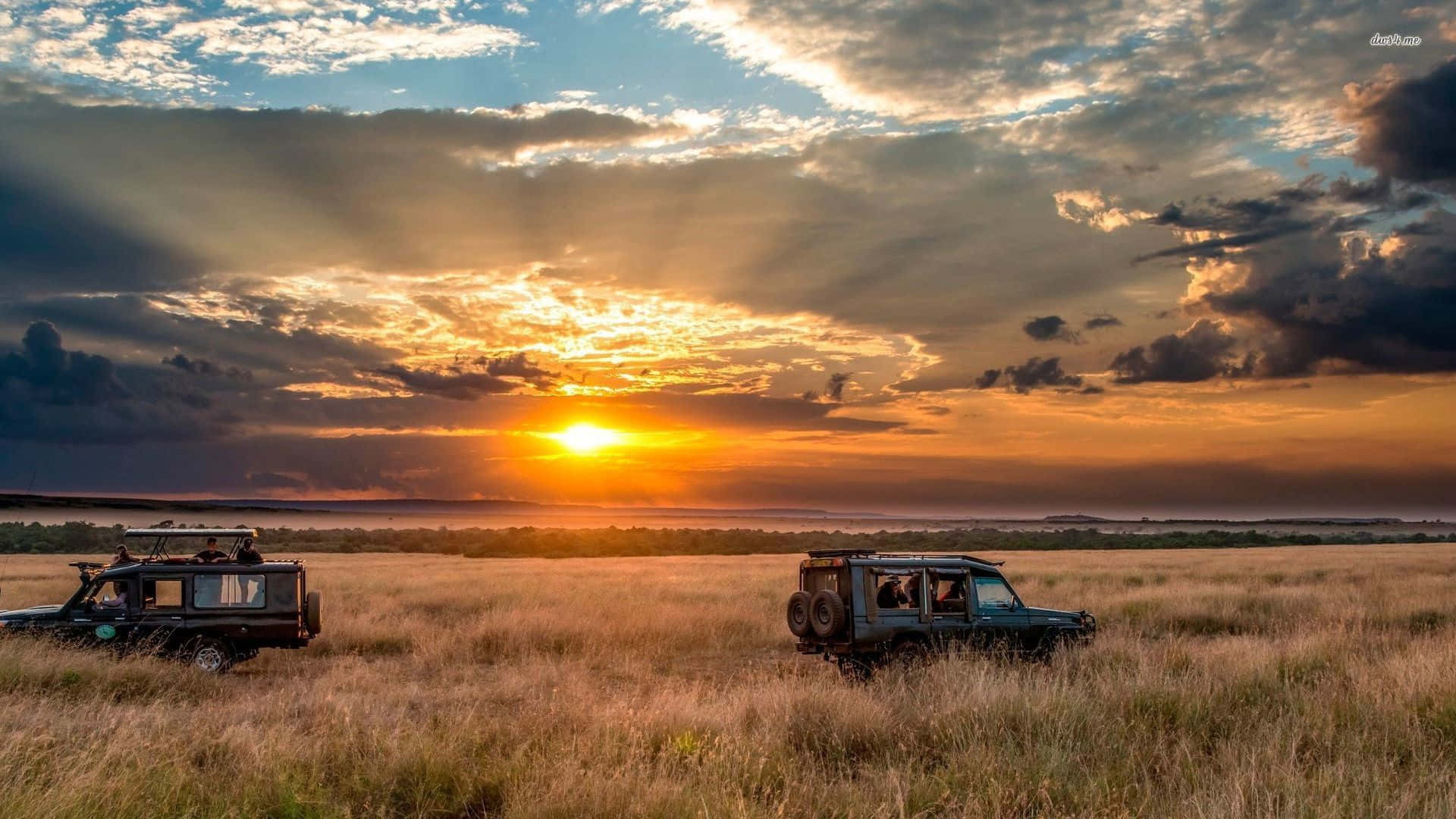 Horizontauf Safari Hintergrund
