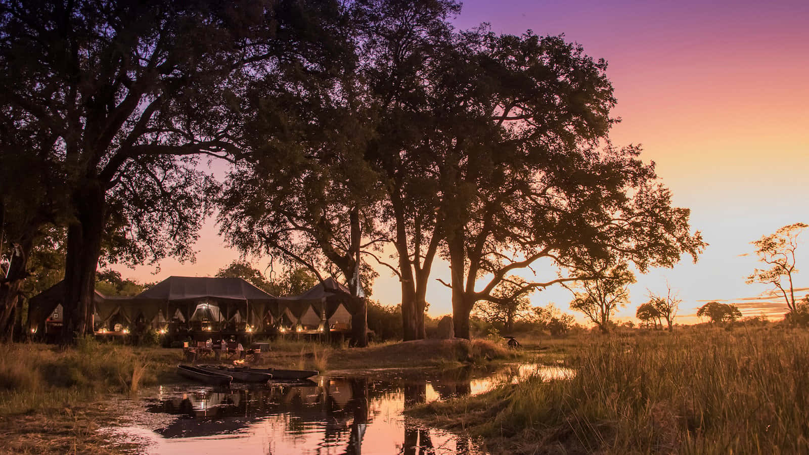 Safari Camping In The Okavango Delta Wallpaper