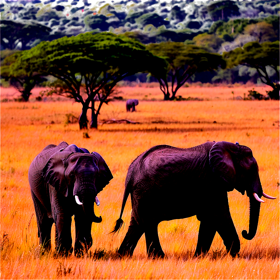 Safari Elephant Herd Png Egs PNG