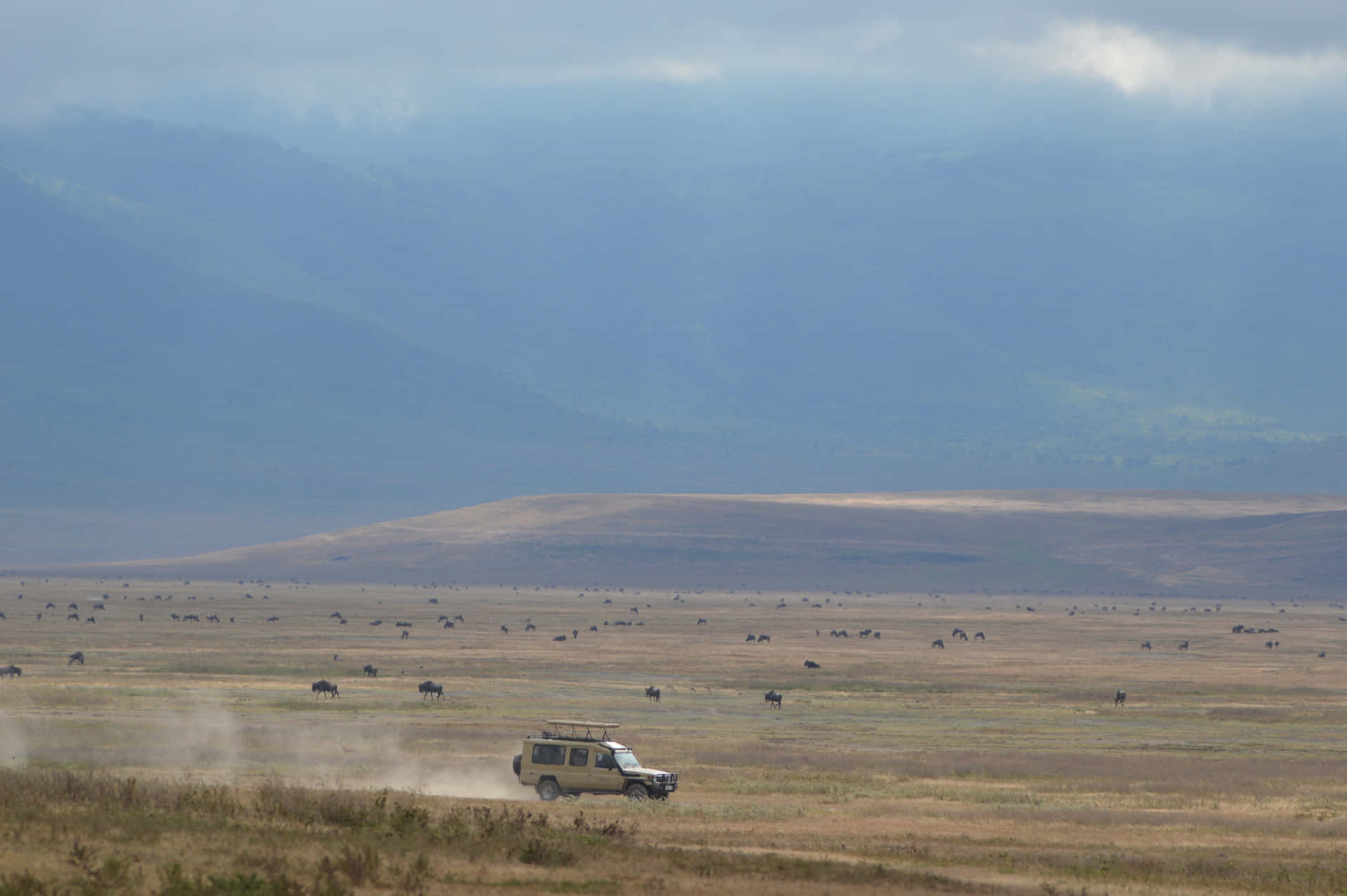 Vehículode Safari En El Cráter De Ngorongoro En El Norte De Tanzania. Fondo de pantalla