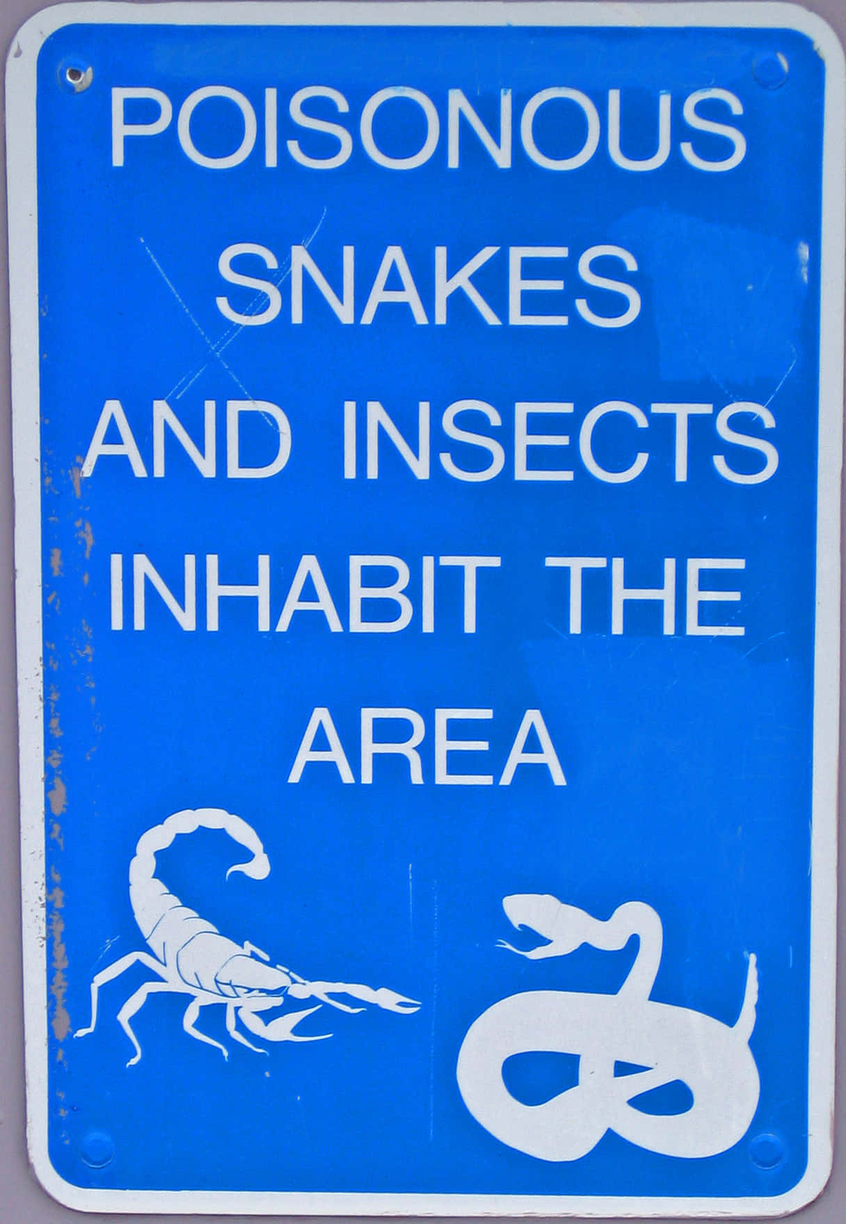 Snakes And Insects Safety Warning Picture