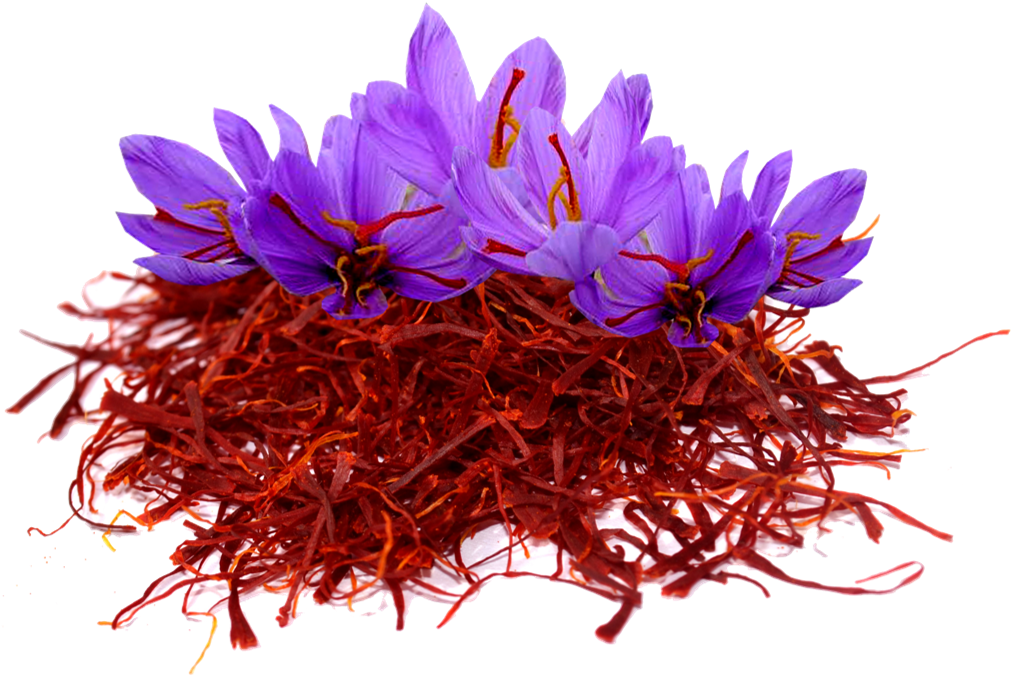 Saffron Stigmasand Flowers PNG