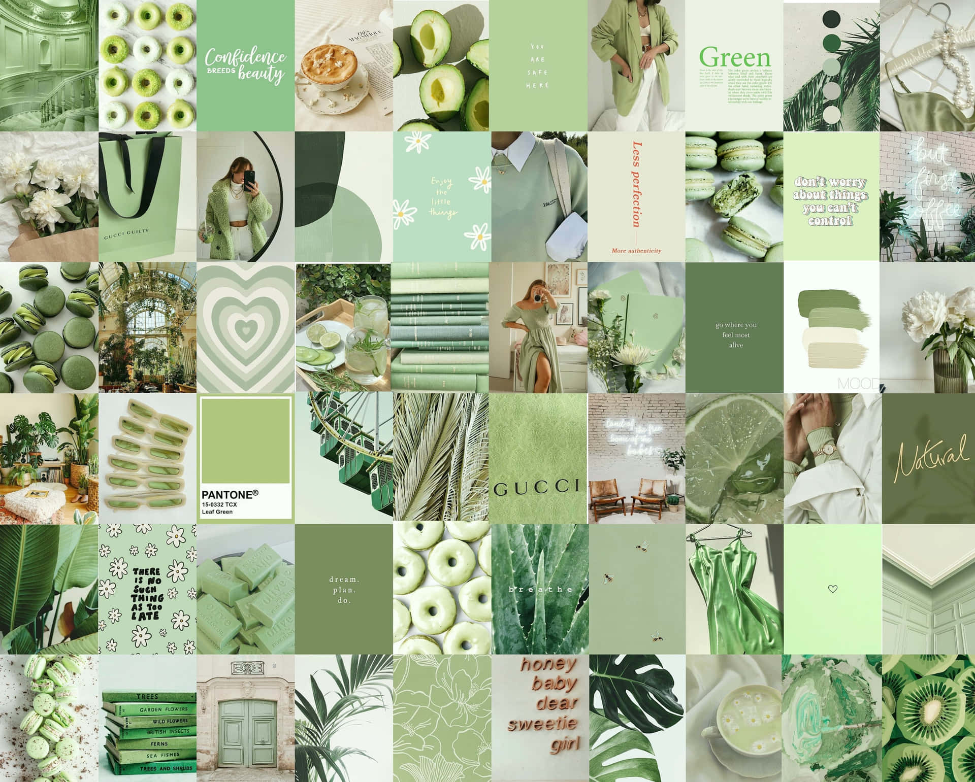 Collage sage green HD phone wallpaper  Peakpx