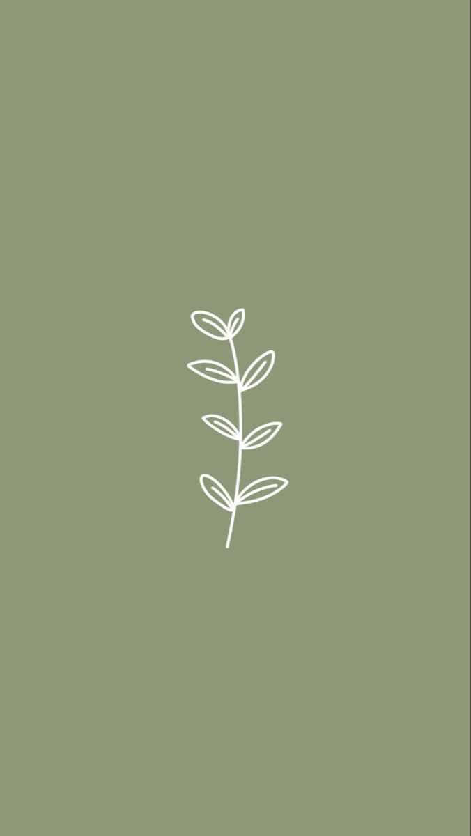 Serene Sage Green Abstract Background
