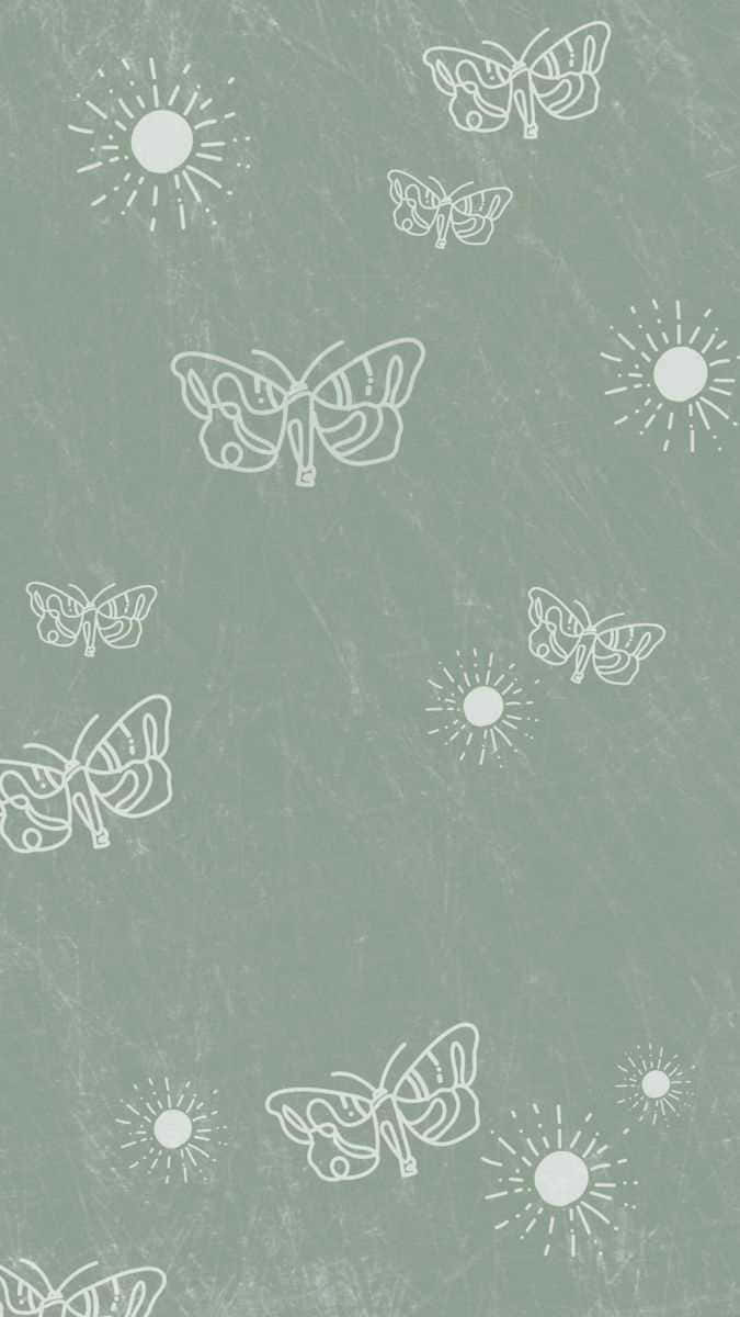 Envit Bakgrund Med Fjärilar Och Solar