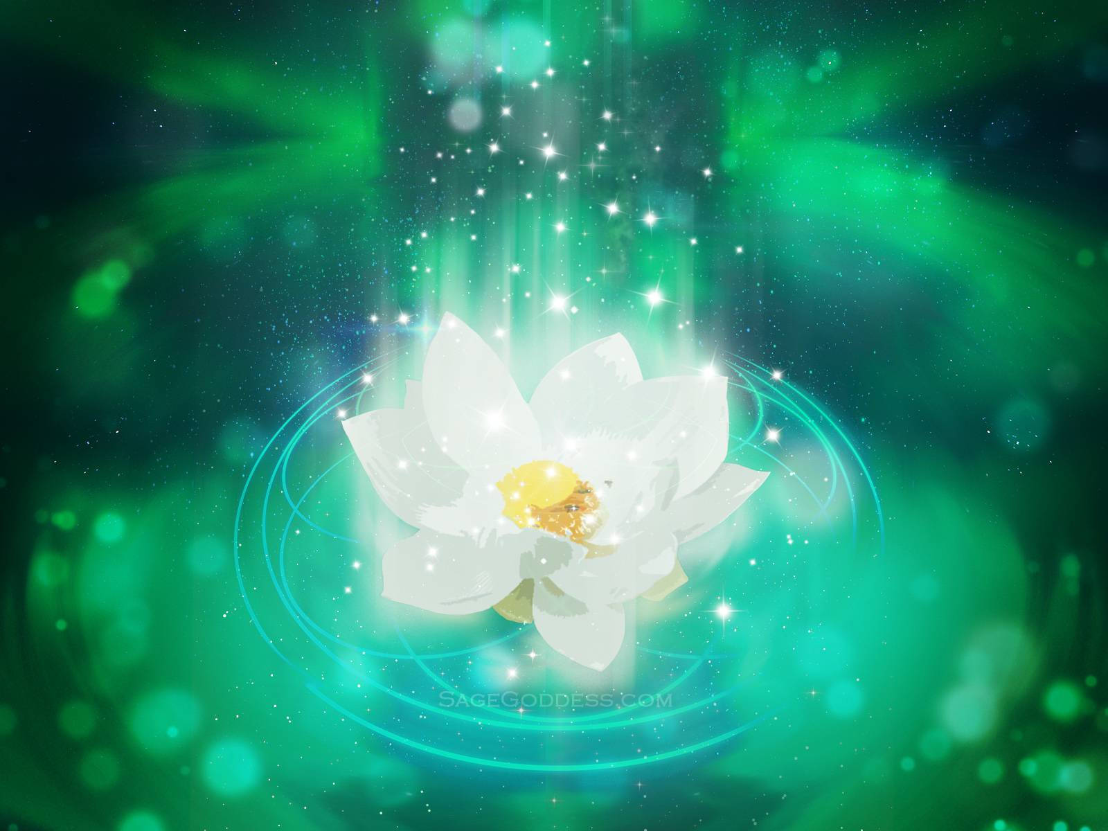 Sage Goddess Lotus Flower Wallpaper