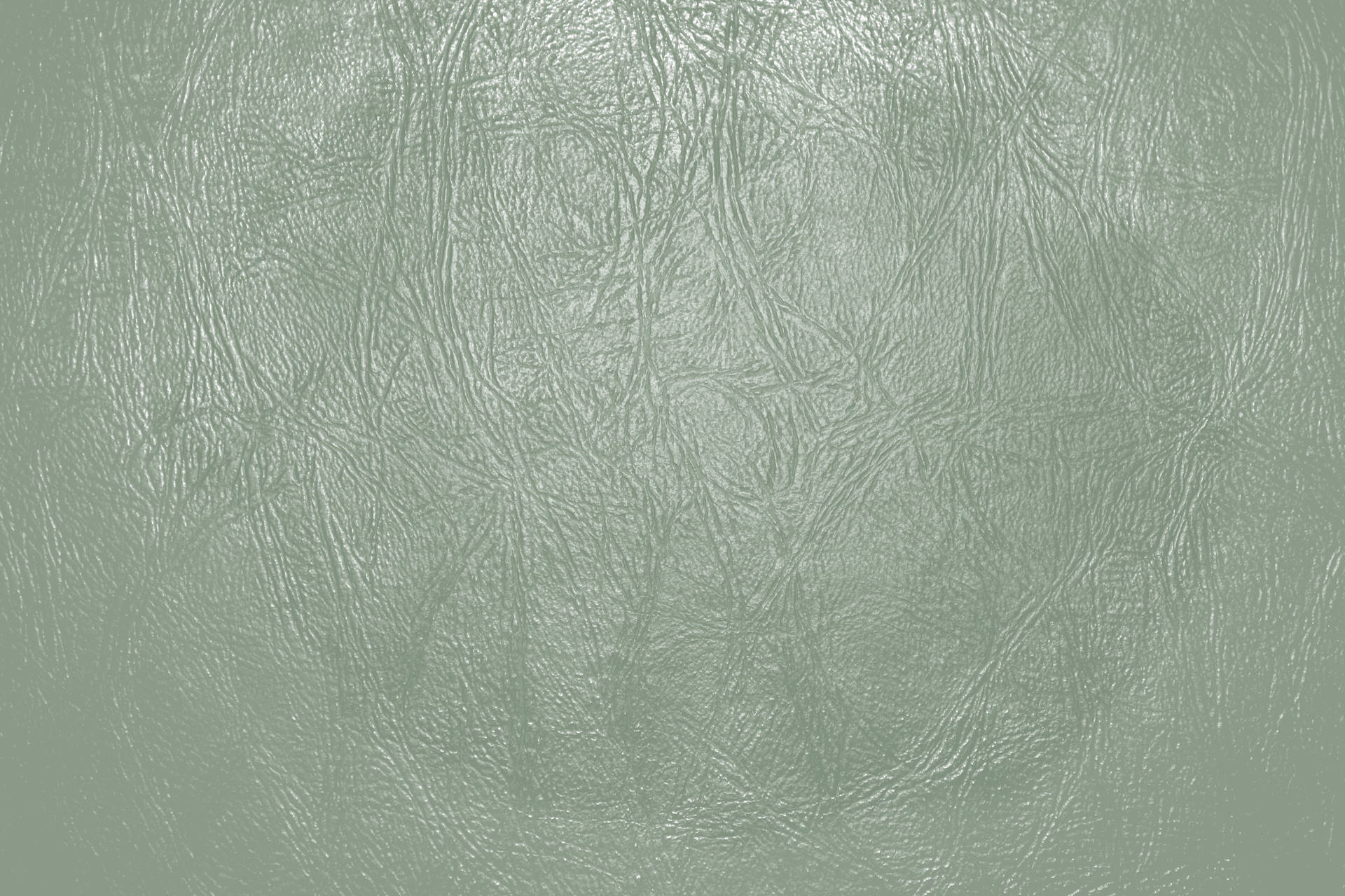 Sage Green Aesthetic Leather Wallpaper