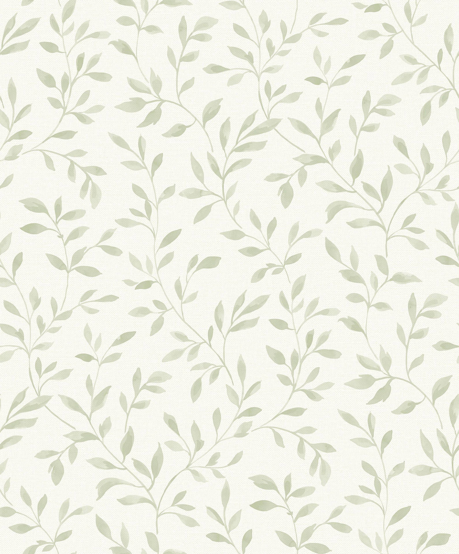 Sage Green Aesthetic Vines Background