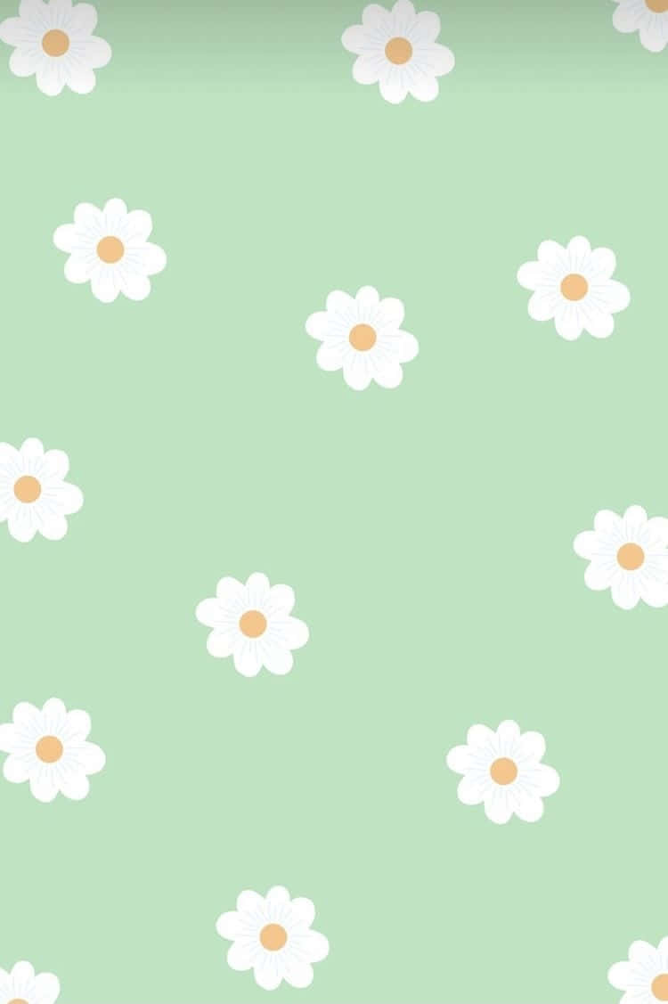 Sage Green Daisy Pattern Wallpaper