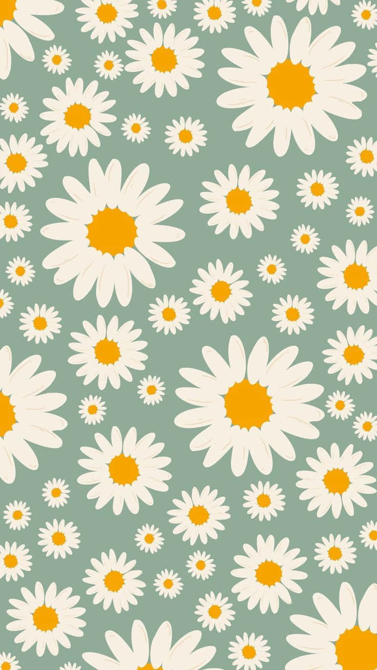 Sage Green Daisy Pattern Wallpaper