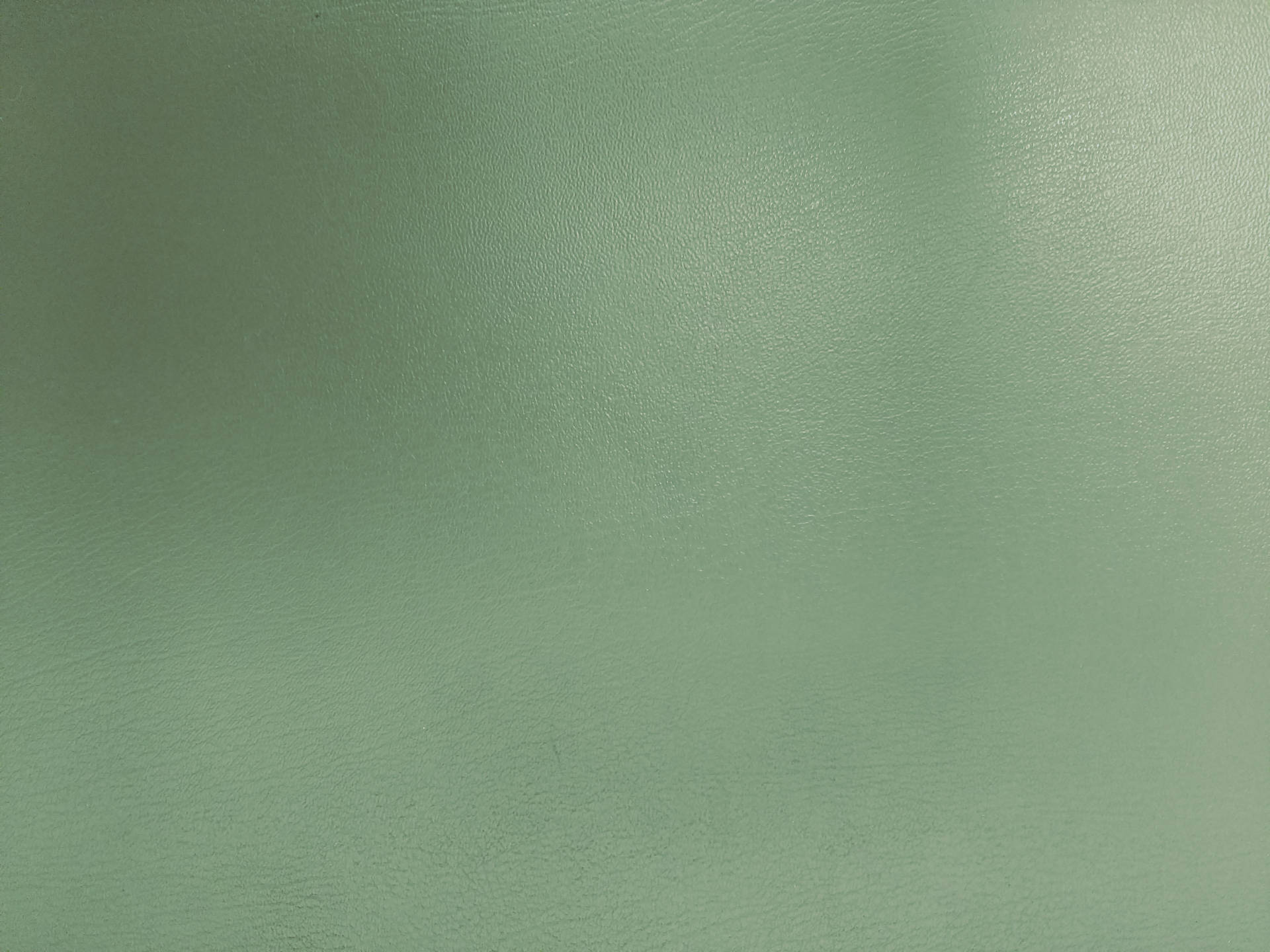 Sage Green Faux Leather