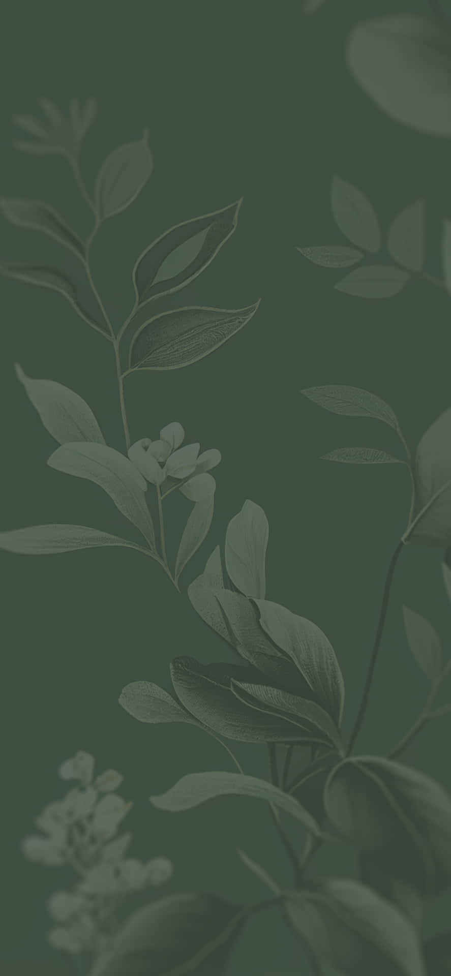 Sage Green Floral Aesthetic Wallpaper Wallpaper